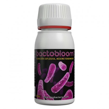 Bactobloom Floracion